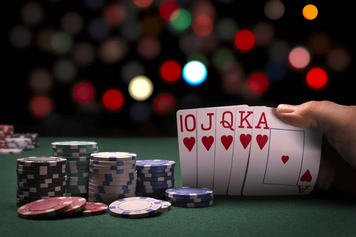 Poker Wolfy casino